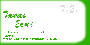 tamas erni business card